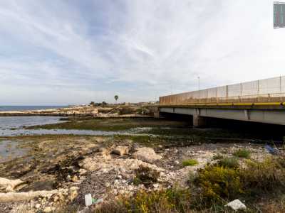 Un posto ricco di vegetazione diventato nel tempo un paradiso per gli amanti per gli amanti del birdwatching. Qui infatti fanno tappa, tra gli altri, aironi, mignattai, pavoncelle, garzette e cormorani e nidifica anche il fratino